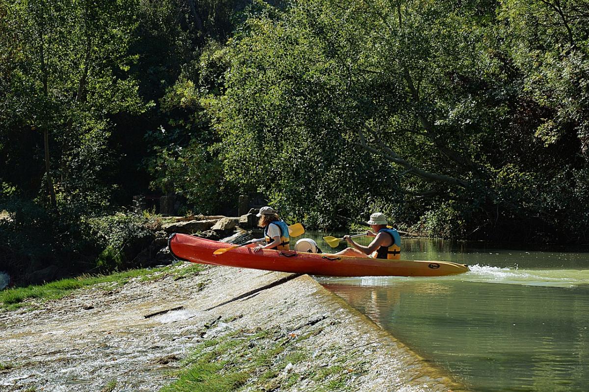 Descente Canoë Découverte Rhône Sauvage