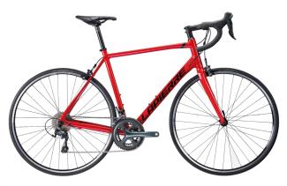 Vélo de route - 4h