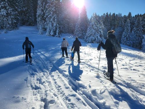 Que faire autour de Aix les Bains en Février ?