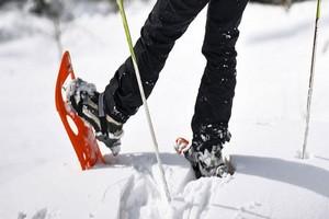 2.2. Snowshoes rent - WEEKEND