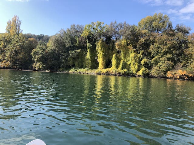 Descente en Canoë sur le Haut Rhône sauvage Lac du Bourget 