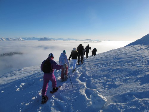 Randonnée Raquette - Savoie