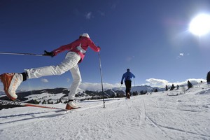 ski fond incentive